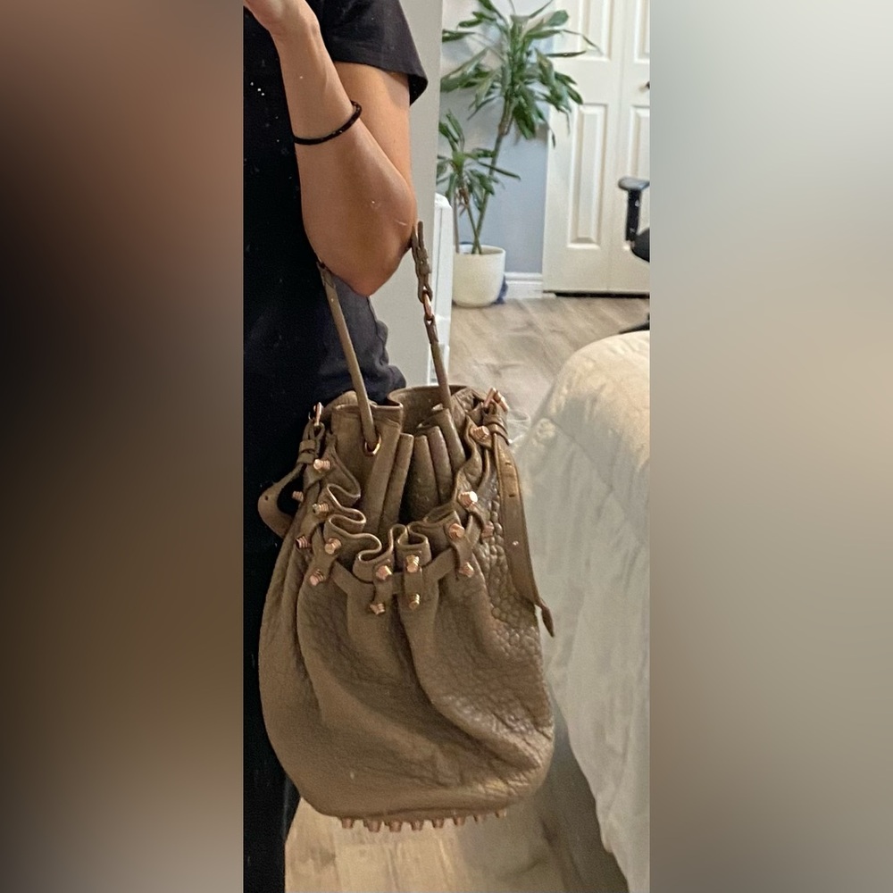 Auth Alexander Wang Diago Bag